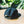 Load image into Gallery viewer, Hat - Side "NORTHRIDGE" Snap-back
